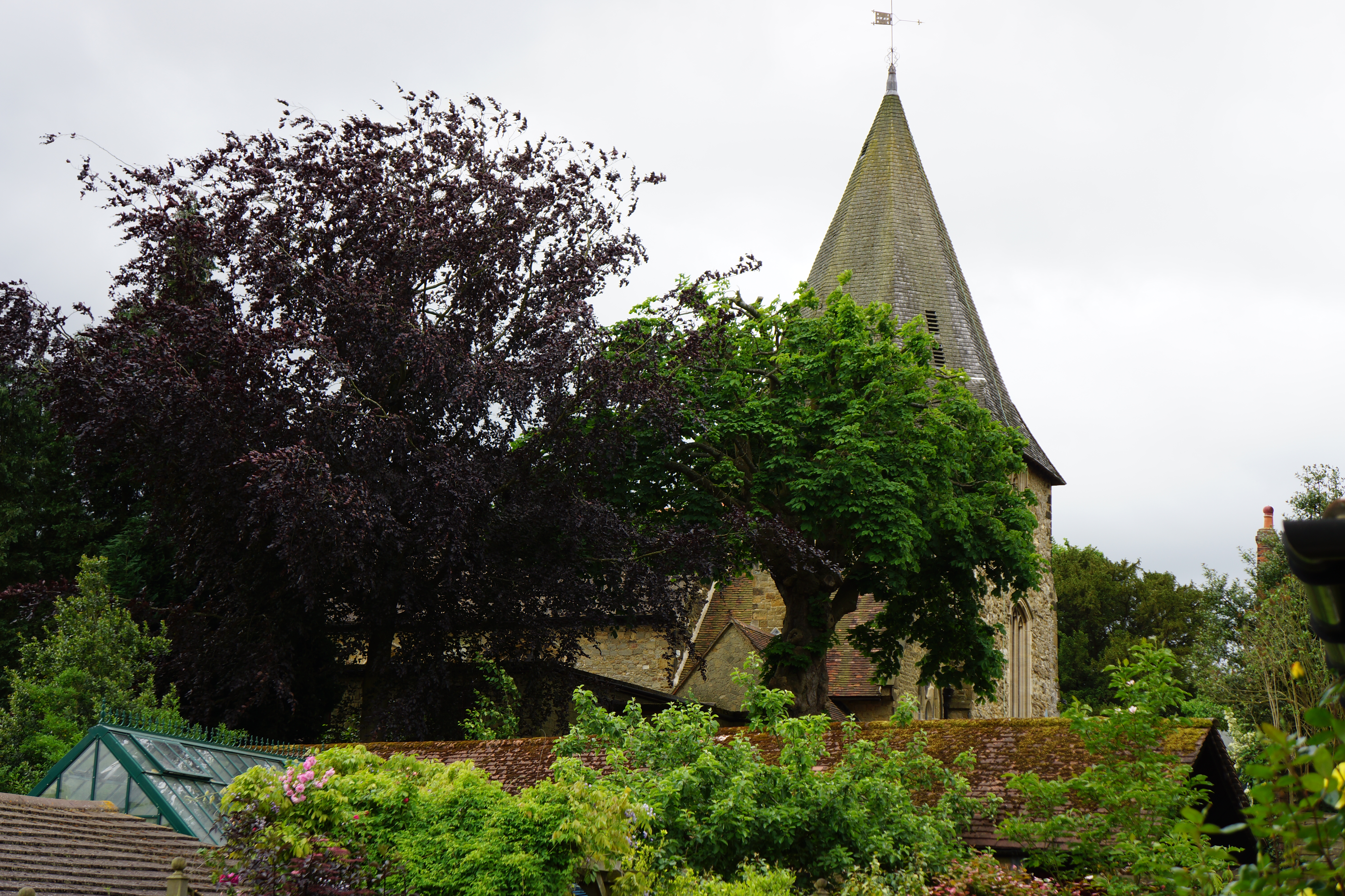 St Mary's from garden